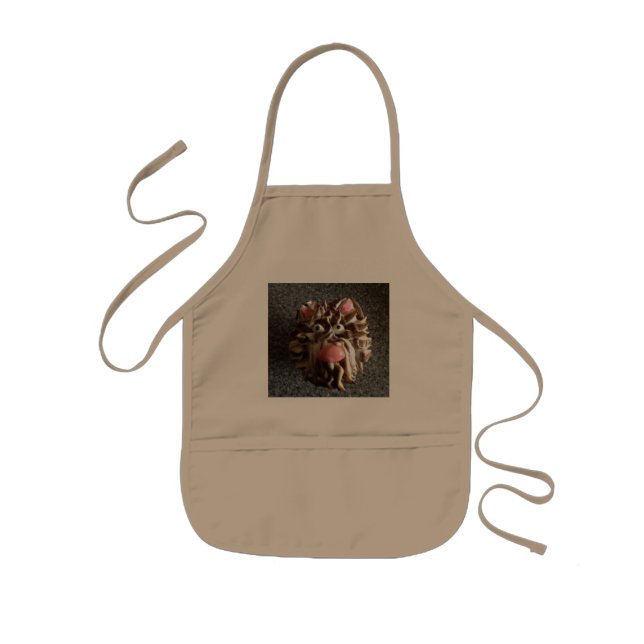 An Apron (Front)