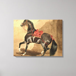 An Arabian Horse (w/c laid down on paper) Canvas Print