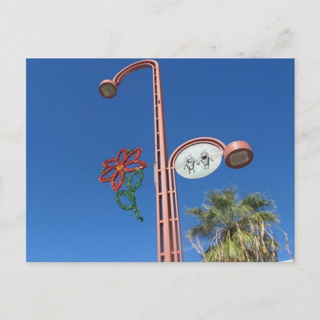 An Arizona Christmas! Holiday Postcard (Front)