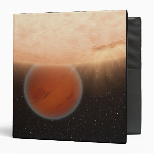 An artisti's concept binder (Front/Inside)