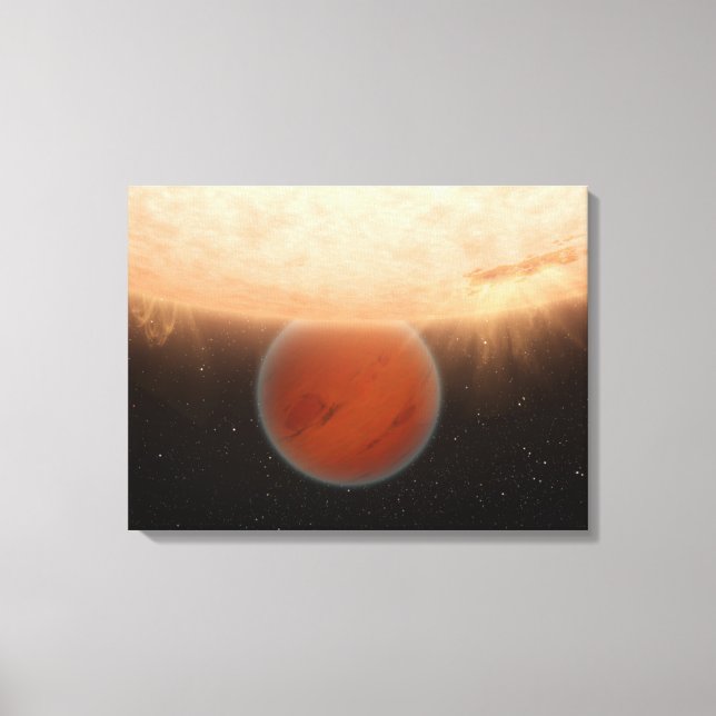 An artisti's concept canvas print (Front)