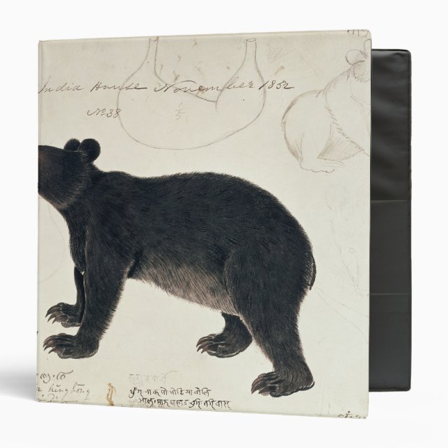 An Asiatic Black Bear, "Ursus Tibetanus" Binder (Front/Inside)