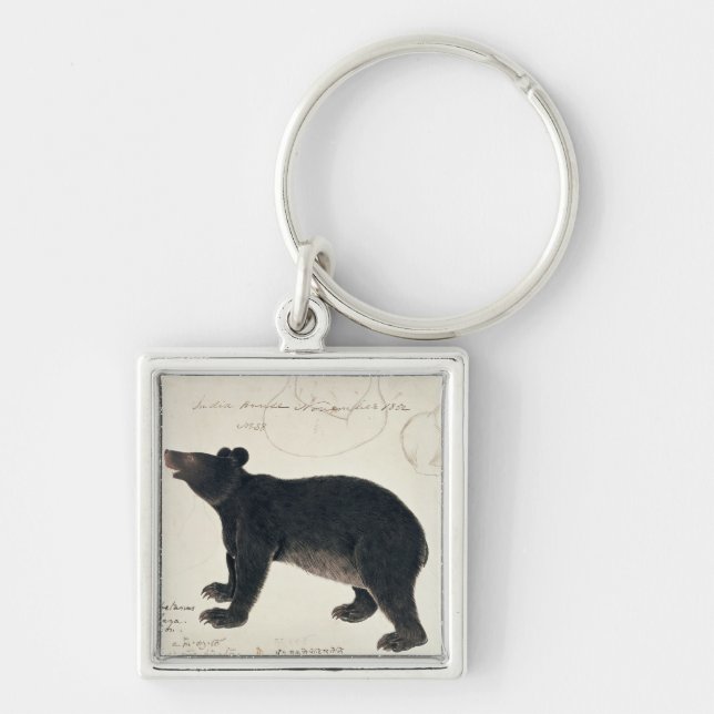 An Asiatic Black Bear, "Ursus Tibetanus" Keychain (Front)