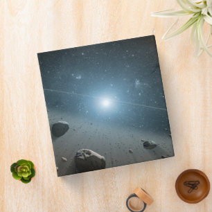 An Asteroid Belt Around The Bright Star Vega. Binder