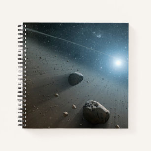 An Asteroid Belt Around The Bright Star Vega. Notebook
