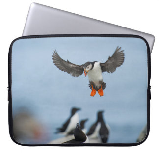 AN ATLANTIC PUFFIN COMING IN TO LAND WITH ITS WING LAPTOP SLEEVE