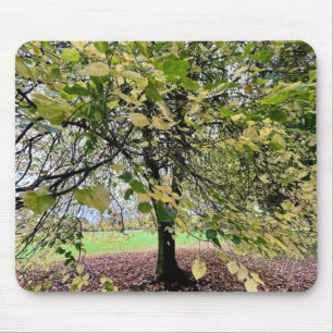 An autumn walk mouse pad