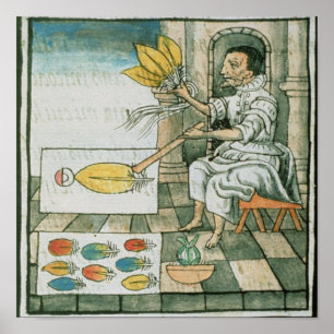 An Aztec feather artisan Poster