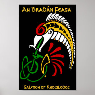 An BradÃ¡n Feasa - The Salmon of Knowledge Poster