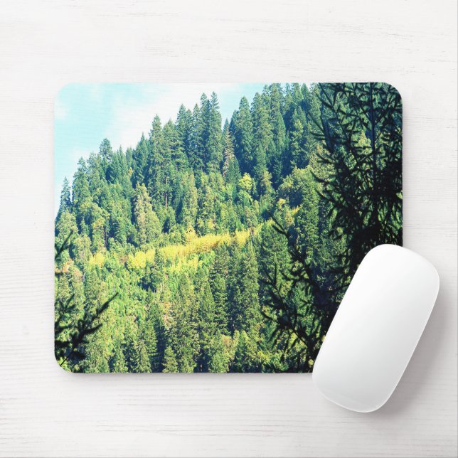 An Eagle in the trees..... Mouse Pad (With Mouse)