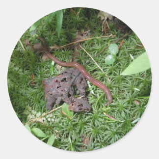 An Earthworm Classic Round Sticker