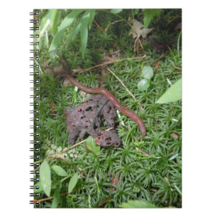 An Earthworm Notebook