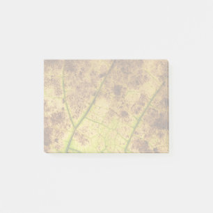 An Earthy Yellow and Brown Leaf Macro Image Post-it Notes