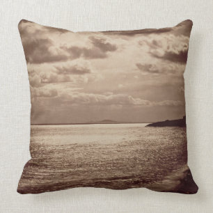An Effect of the Sun, Normandy c.1857 (sepia photo Throw Pillow