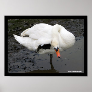 An Elegant Salute Poster