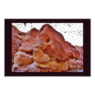 An Elephant at Petra Photo Print
