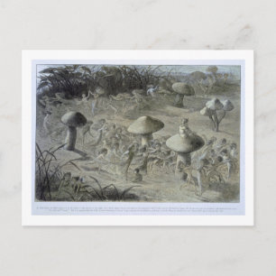 An Elfin Dance by Night, illustration from 'In Fai Postcard