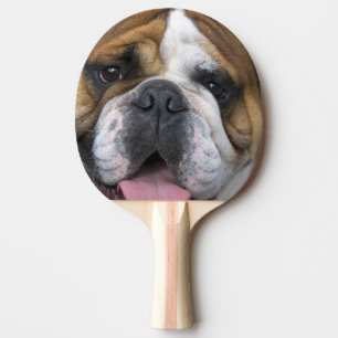An english bulldog in Belgium. Ping Pong Paddle