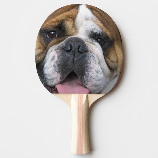 An english bulldog in Belgium. Ping Pong Paddle (Front)