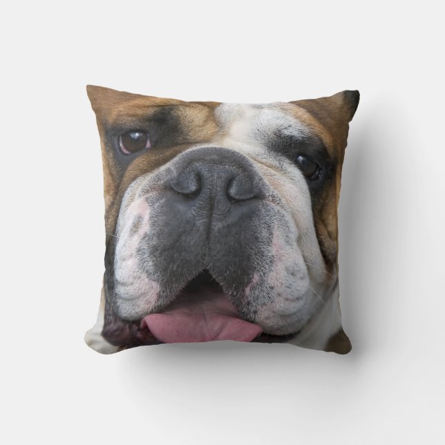 An english bulldog in Belgium. Throw Pillow (Front)