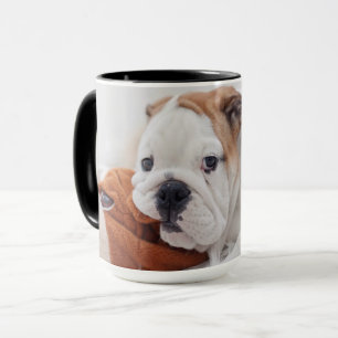 An English Bulldog Puppy Playing With A Bulldog Mug