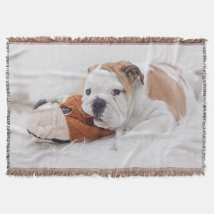 An English Bulldog Puppy Playing With A Bulldog Throw Blanket
