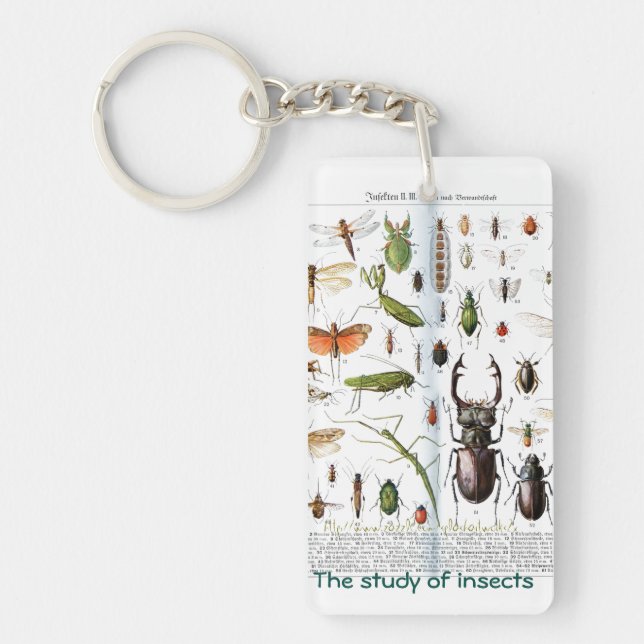 "An entomologist " Keychain (Front)
