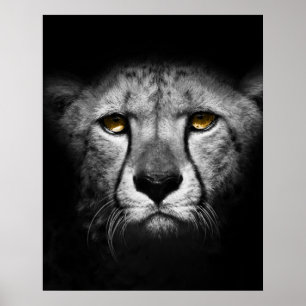 An exotic African animal Poster