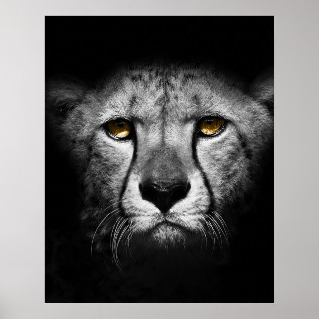 An exotic African animal Poster (Front)