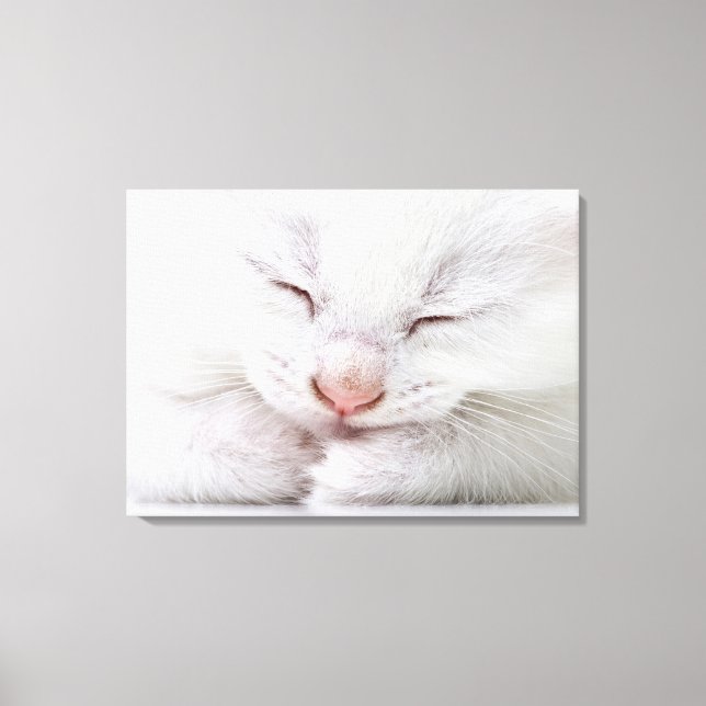 An extreme close up of a very young white canvas print (Front)