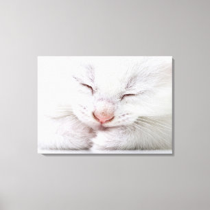 An extreme close up of a very young white canvas print