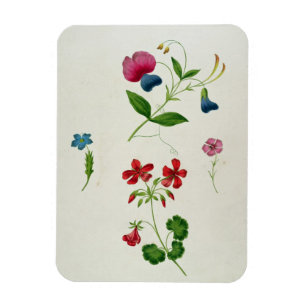 An illustration from 'A New Treatise on Flower Pai Magnet