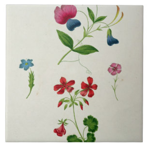 An illustration from 'A New Treatise on Flower Pai Tile
