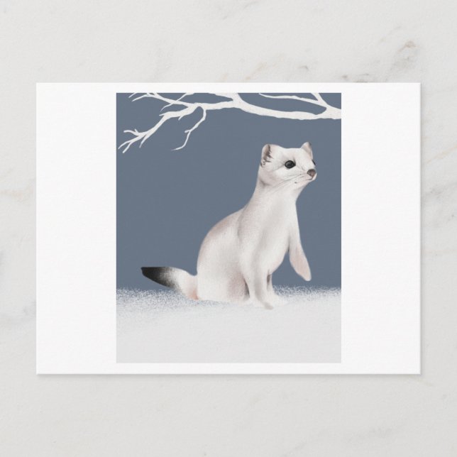 An illustration of a weasel painted in watercolor postcard (Front)