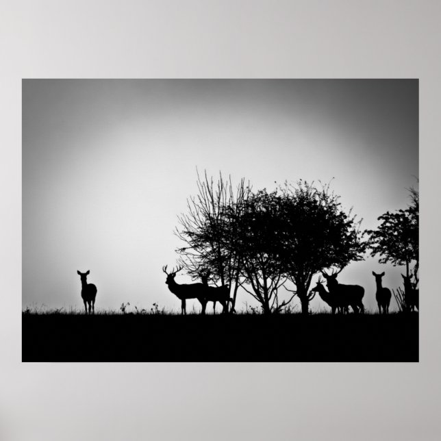 An image of some deer in the morning mist poster (Front)