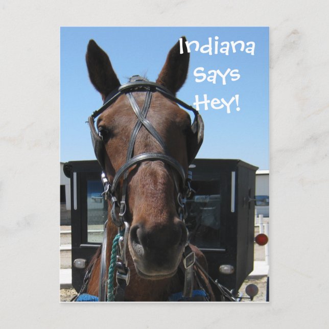 An Indiana Hey! Postcard (Front)
