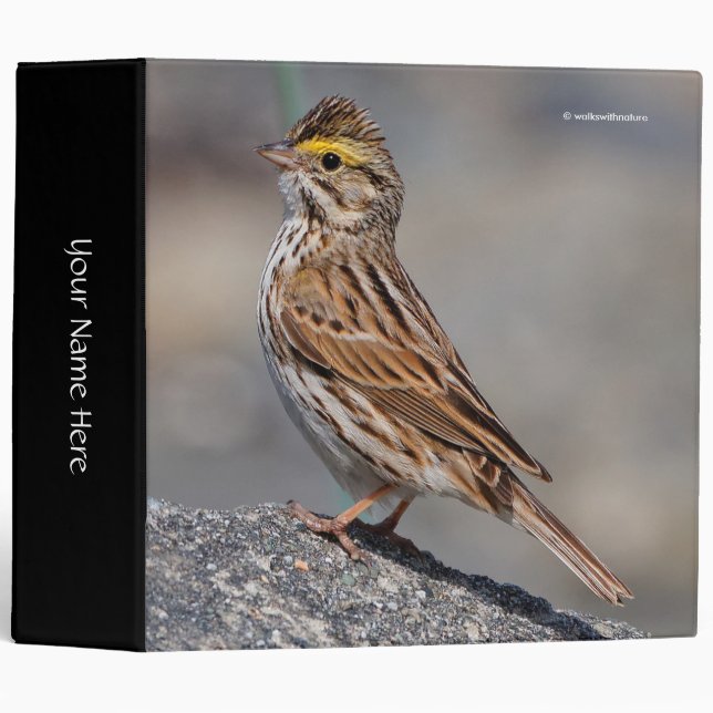 An Inquisitive Savannah Sparrow Binder (Front/Spine)
