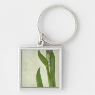 An Iris Keychain