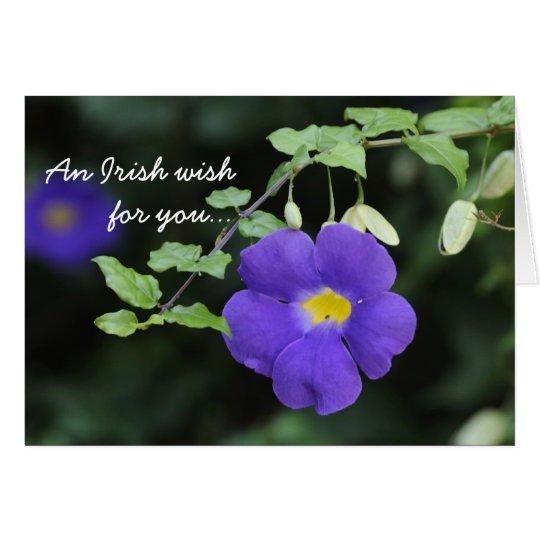 An Irish Blessing Card