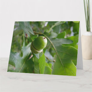 an oak fruit card