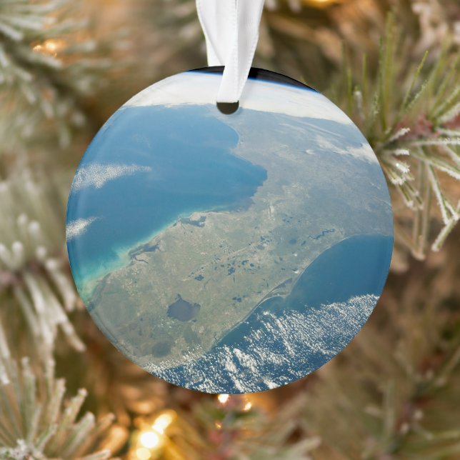 An Oblique Florida, On The Southeastern Coast Ornament (Tree)