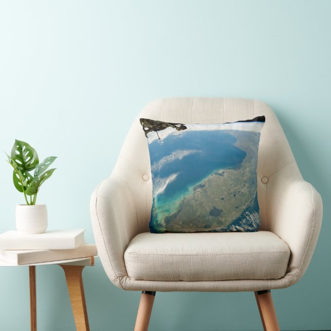An Oblique Florida, On The Southeastern Coast Throw Pillow (Chair)