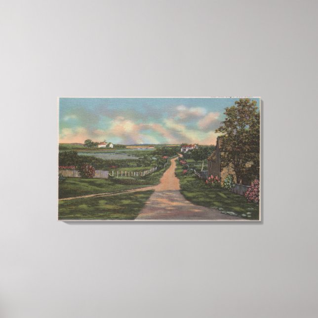 An Old Cape Cod Lane View Canvas Print (Front)