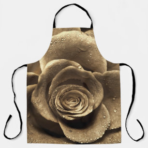 An old-fashioned rose close up, wet with water dro apron