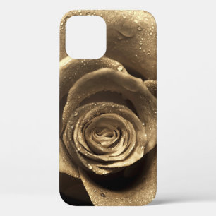 An old-fashioned rose close up, wet with water dro iPhone 12 case