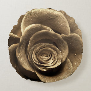 An old-fashioned rose close up, wet with water dro round pillow