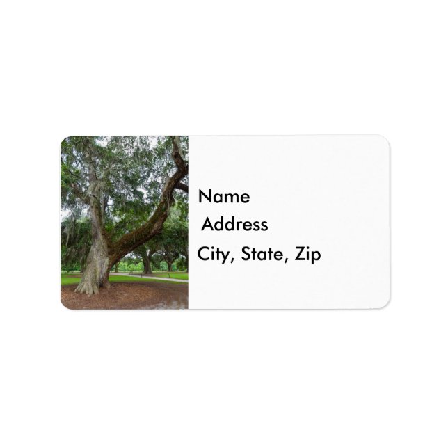 An Old Oak Tree Label (Front)