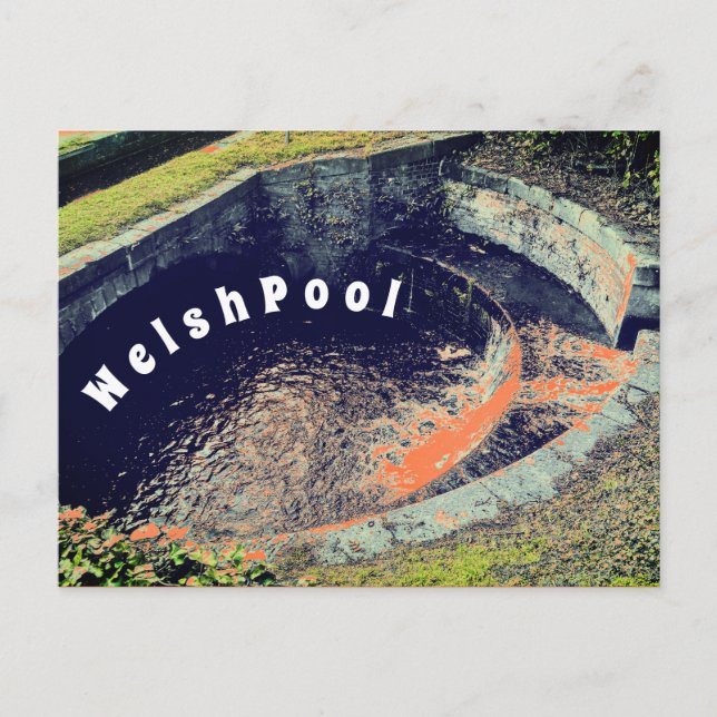 An Orange Pool in Welshpool Photography  Postcard (Front)