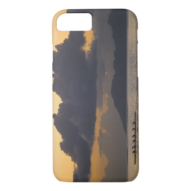 An outrigger canoe team practices off the coast Case-Mate iPhone case (Back)