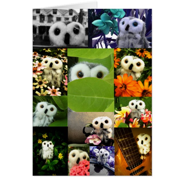 An Owl Named Ophelia (Front)